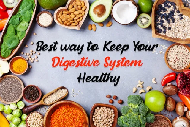 How To Keep Your Digestive System Healthy?
